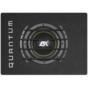 Subwoofer ESX QXB8 u kutiji za auto audio, visokokvalitetni zvuk.